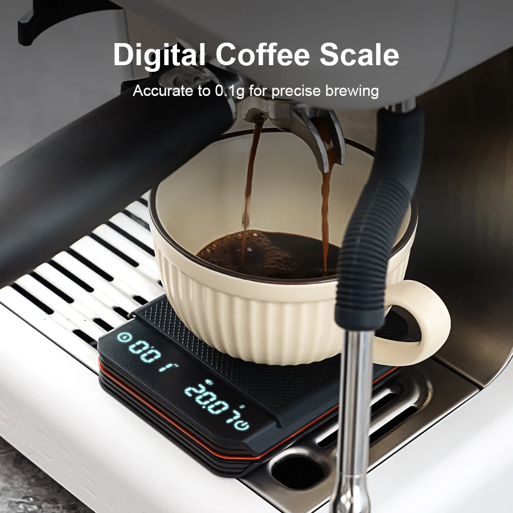 Kitchen Scale Coffee Accessori - Commercial Kitchen Setup のレビューと価格